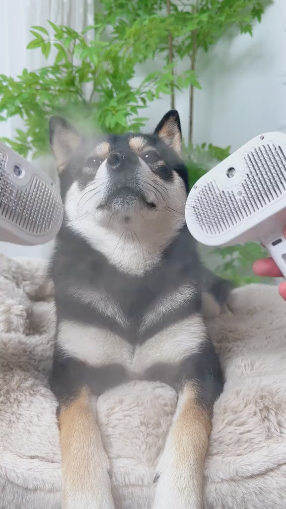 Pet Steam Brush — 3-in-1 Grooming Tool for Dogs & Cats